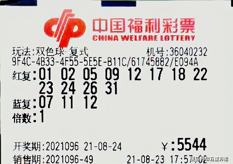 澳门三肖三期必出一期,澳门三肖三期必出一期，理性看待彩票与概率的误区