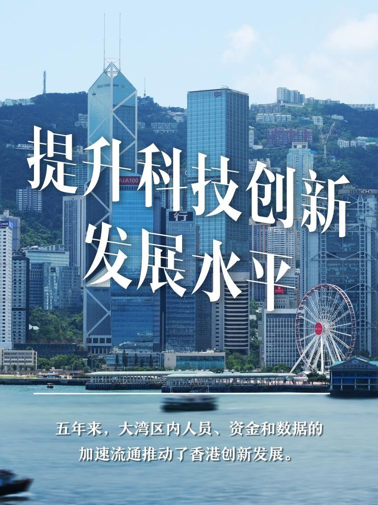 新澳门今晚开特马查询,澳门今晚特马揭秘，探寻新机遇与幸运之门