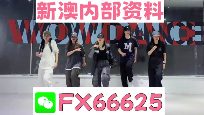 管家婆204年資料一肖,管家婆204年资料一肖，揭秘传统与现代结合的智慧