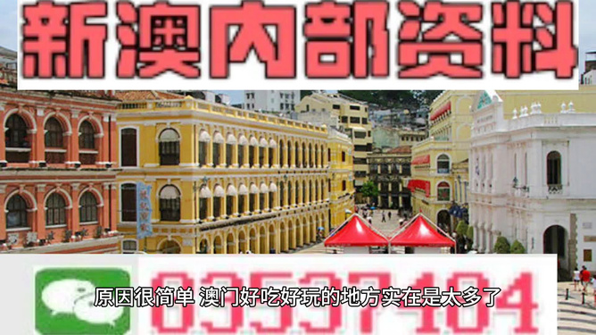 新澳门资料免费长期公开,澳门资讯新视野，新澳门资料免费长期公开的深度探索