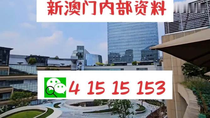 新澳门内部一码最精准公开,揭秘新澳门内部一码最精准公开，真相与风险并存
