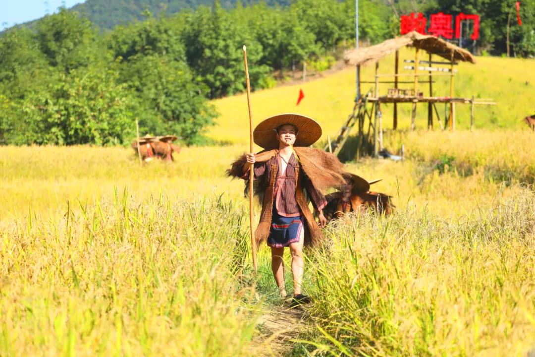 新奥门免费资料大全最新版本更新,探索新奥门，免费资料大全最新版本更新指南