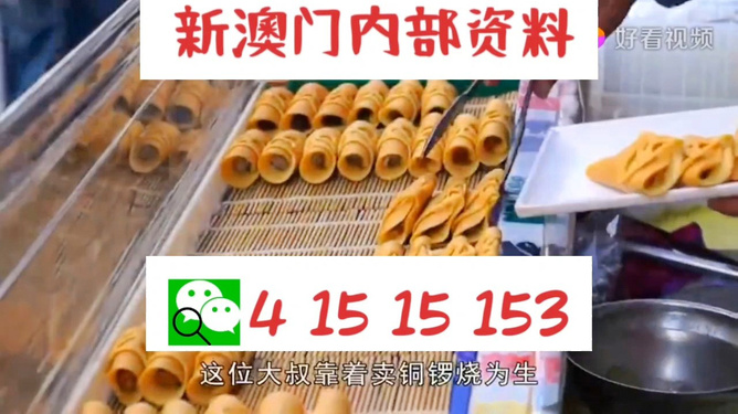 2025澳门天天开好彩资料,澳门2025，展望未来，天天开好彩的资料指南