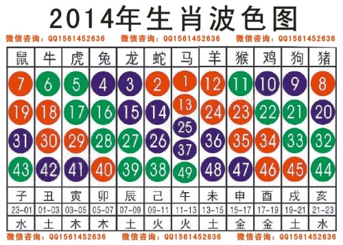 2025十二生肖49码表,2025年十二生肖49码表，探索未来与传统的奇妙融合