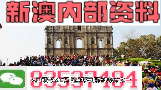 新澳门2025年资料大全管家婆,澳门2025年展望，新澳门资料大全与管家婆的未来图景
