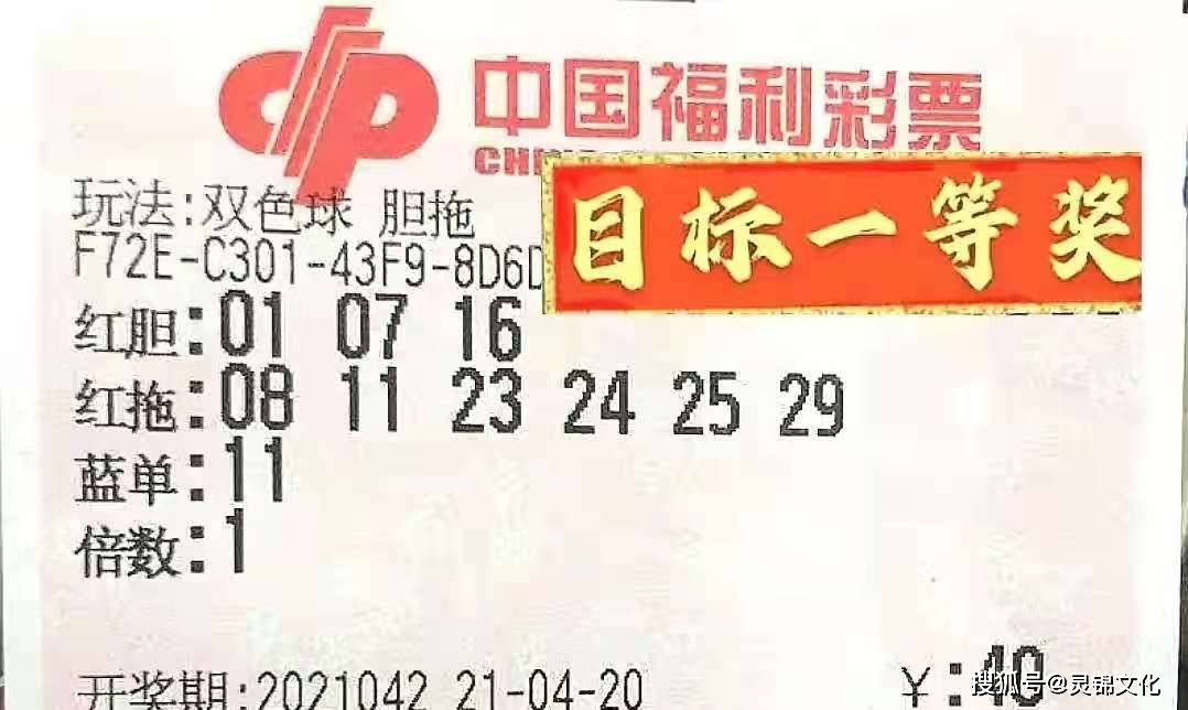 2023澳门天天彩今晚开奖结果,2023澳门天天彩，今晚开奖结果的期待与解析