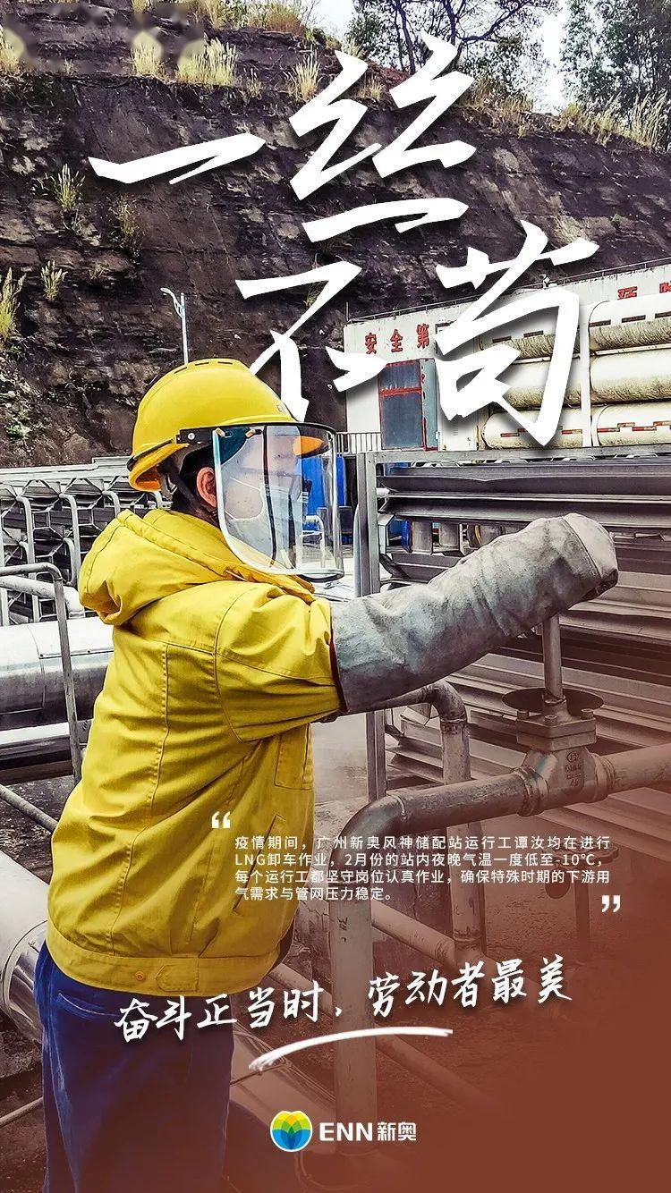 新奥门正版资料大全图片,探索新奥门正版资料大全，图片背后的真相与价值