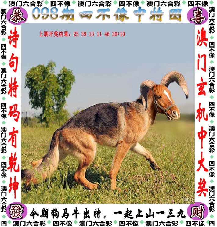 2025今晚四不像图2025,2025，今晚的四不像图景